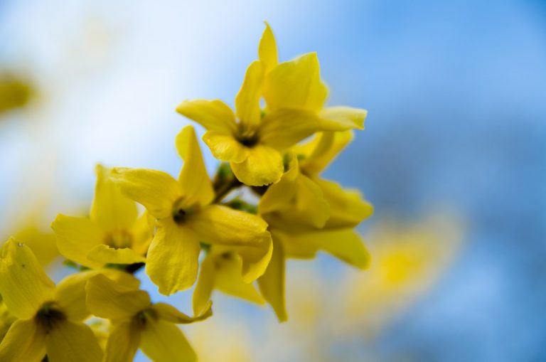 Cosa fare in un finesettimana bellunese di metà maggio