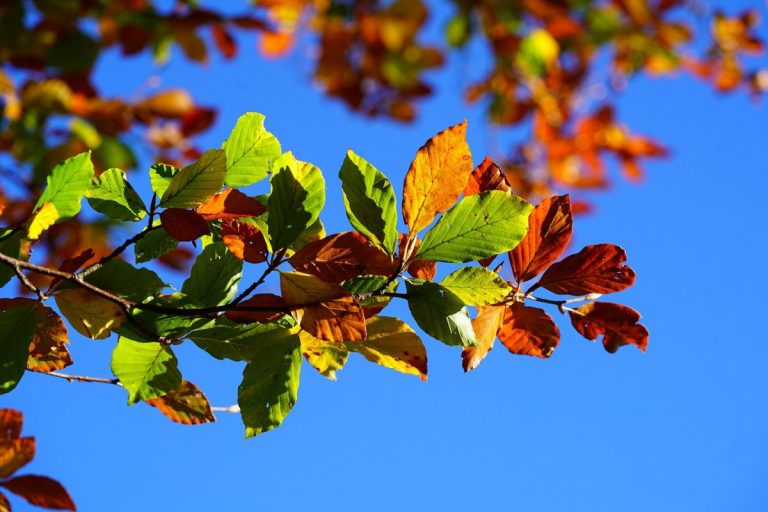 …con ottobre cosa fare?