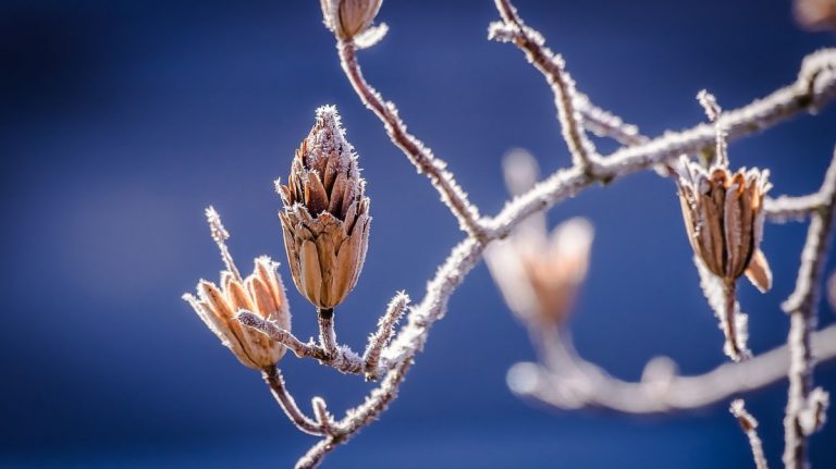 Il fine settimana è alle porte…