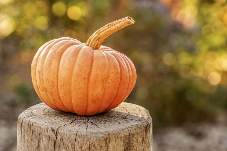 Arriva l’autunno e noi siamo pronti con tantissimi eventi!!